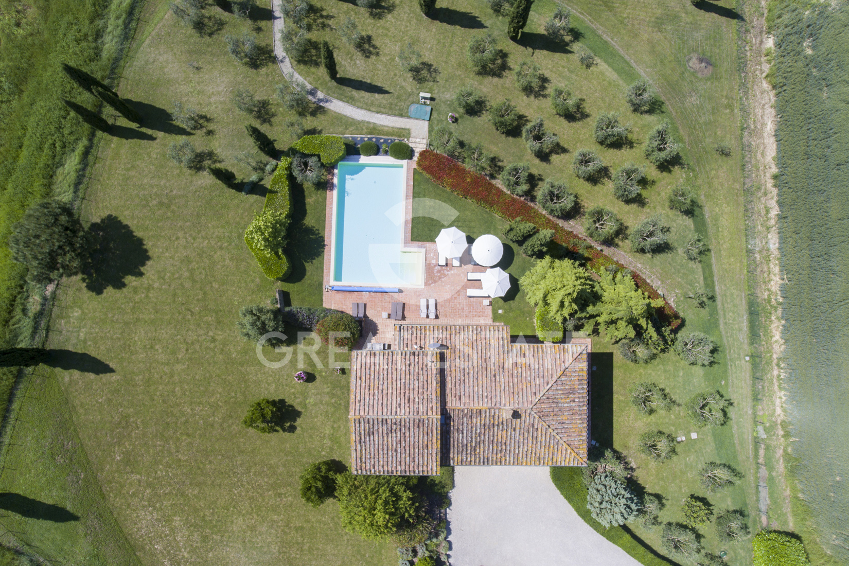 House in Spina - Image 2