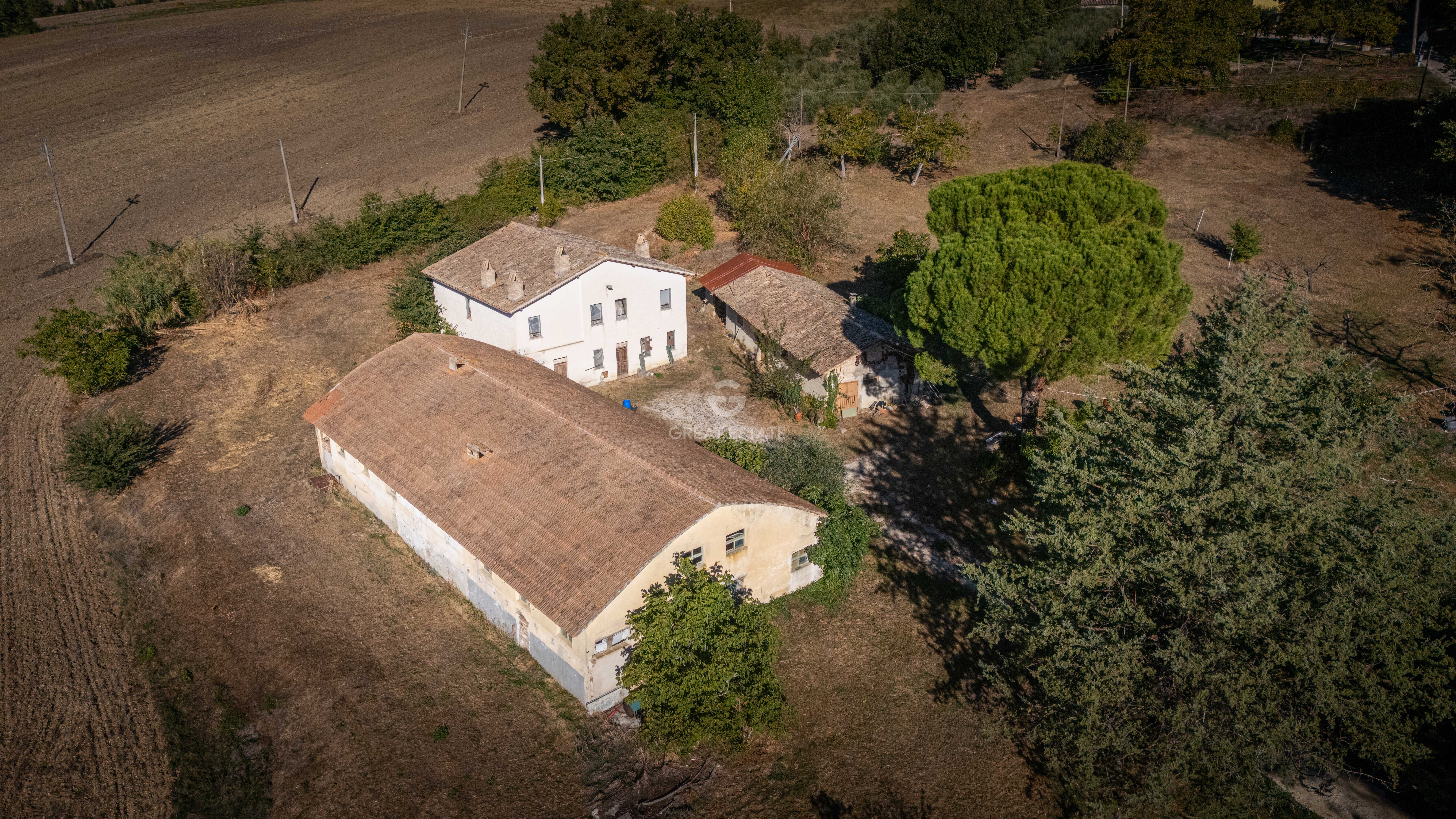 House in Cascinano - Image 2