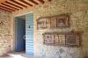 Foto Particolari | Panorami della proprietà Il Podere delle Lavande
