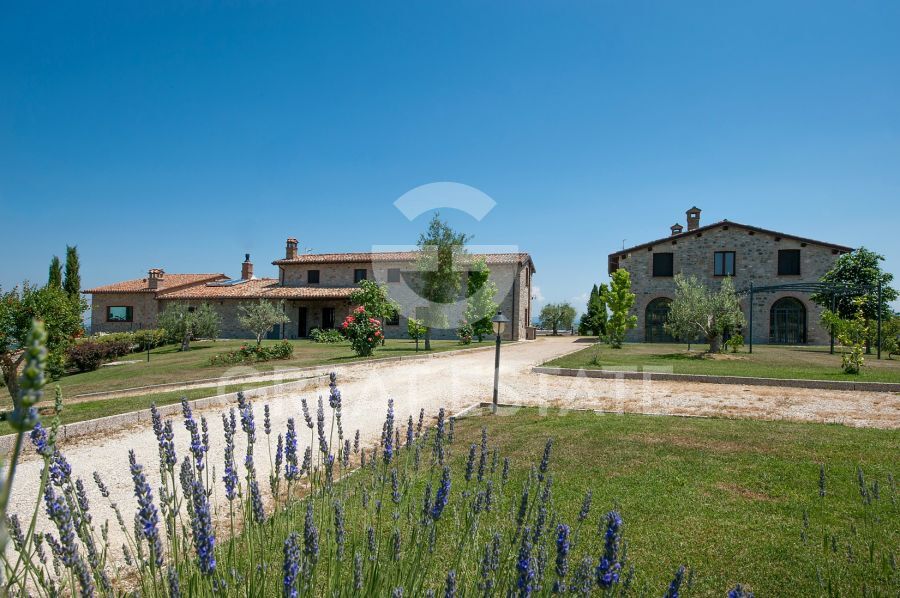 Podere Colonna