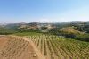 Gallery Details | Views of the property Podere Colonna