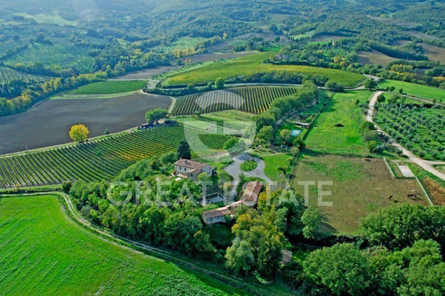 Podere Palazzolo