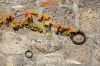 Bilder/Galerie Details | Ansichten der Immobilie Castel di Piero