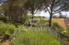 Foto Particolari | Panorami della proprietà El Olivar