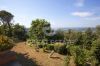 Foto Particolari | Panorami della proprietà El Olivar