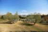 Bilder/Galerie Details | Ansichten der Immobilie Tuscan en plein air