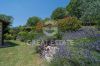 Gallery Details | Views of the property Il Colle di Melezzole