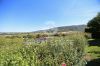 Foto Particolari | Panorami della proprietà Podere del Poggio