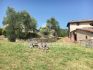Foto esterno della proprietà il pozzo