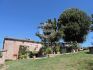 Gallery exterior of the property Poggio Calcina