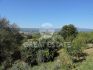 Gallery Details | Views of the property Poggio Calcina