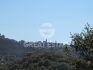 Gallery Details | Views of the property Poggio Calcina