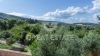 Foto Particolari | Panorami della proprietà La Dimora di Ulisse