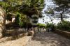 Foto esterno della proprietà Grazioso Cottage
