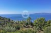 Foto Particolari | Panorami della proprietà Appartamento in Residence Gli Olivastri di Cala Moresca