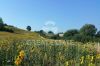 Foto Particolari | Panorami della proprietà Caroma C