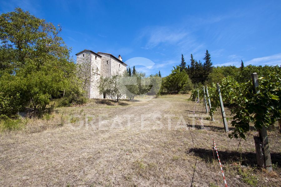La torre medievale