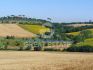 Gallery Details | Views of the property Il Corbezzolo