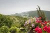 Foto Particolari | Panorami della proprietà Prato Di Sopra