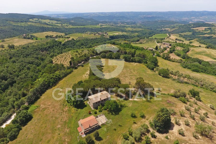 Alta Collina D'Orvieto