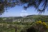 Foto Particolari | Panorami della proprietà Podere Orcia