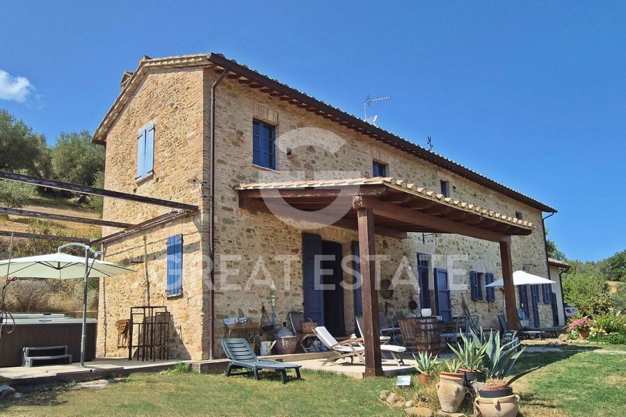 Podere tra gli ulivi