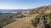 Foto Particolari | Panorami della proprietà Vecchia Fattoria