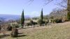 Foto Particolari | Panorami della proprietà Vecchia Fattoria