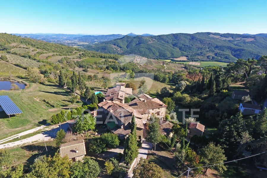 La grande tenuta biologica