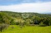 Foto Particolari | Panorami della proprietà Podere Le Capriate