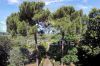 Gallery Details | Views of the property La Loggia Vista Mare