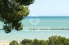 Bilder/Galerie Details | Ansichten der Immobilie Villa dei Pini