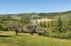 Foto Particolari | Panorami della proprietà PODERE IL FAENA