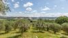 Foto Particolari | Panorami della proprietà Cetona Country Chic