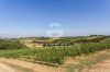 Foto Particolari | Panorami della proprietà IL MERIGGIO