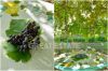 Bilder/Galerie Details | Ansichten der Immobilie La Villa di Saragano