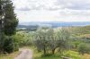 Foto Particolari | Panorami della proprietà IL SOTTOBOSCO