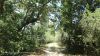 Gallery Details | Views of the property Il Giardino su Montecchio