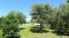 Gallery Details | Views of the property Il Giardino su Montecchio