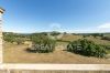 Foto Particolari | Panorami della proprietà Podere Laura