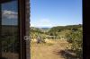 Foto Particolari | Panorami della proprietà Podere Laura
