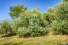 Gallery Details | Views of the property Cascina Infernòt