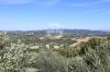 Foto Particolari | Panorami della proprietà Villa La Santolina