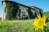 Gallery exterior of the property Cascina San Remigio