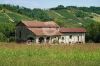 Gallery exterior of the property Cascina San Remigio