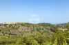 Gallery Details | Views of the property Convento XI Secolo