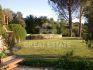 Bilder/Galerie Außenbereich des Grundstücks Villa Paradiso