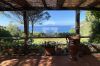 Bilder/Galerie Außenbereich des Grundstücks Villa Paradiso