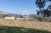 Foto esterno della proprietà i Cipressi