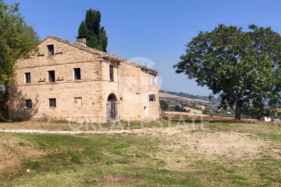 i Cipressi